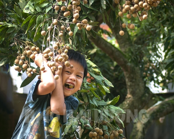 Ảnh mang tính minh họa - Tiến Thành