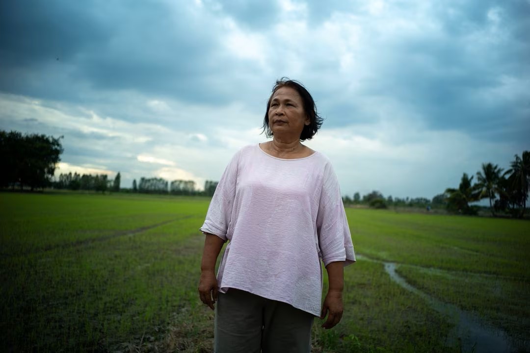 Cô Sripai Kaeo-eam (58 tuổi) đứng trước cánh đồng, mong chờ vào một vụ mùa được giá để có thể trả nợ - Ảnh: REUTERS/Athit Perawongmetha