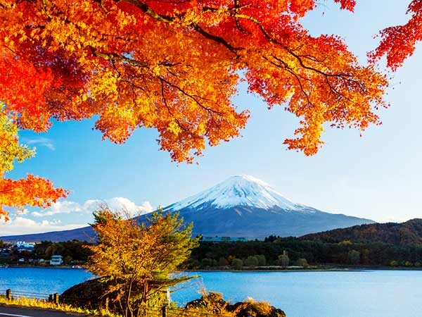 Khung cảnh hướng ra núi Phú Sĩ vào mùa thu - Ảnh Internet