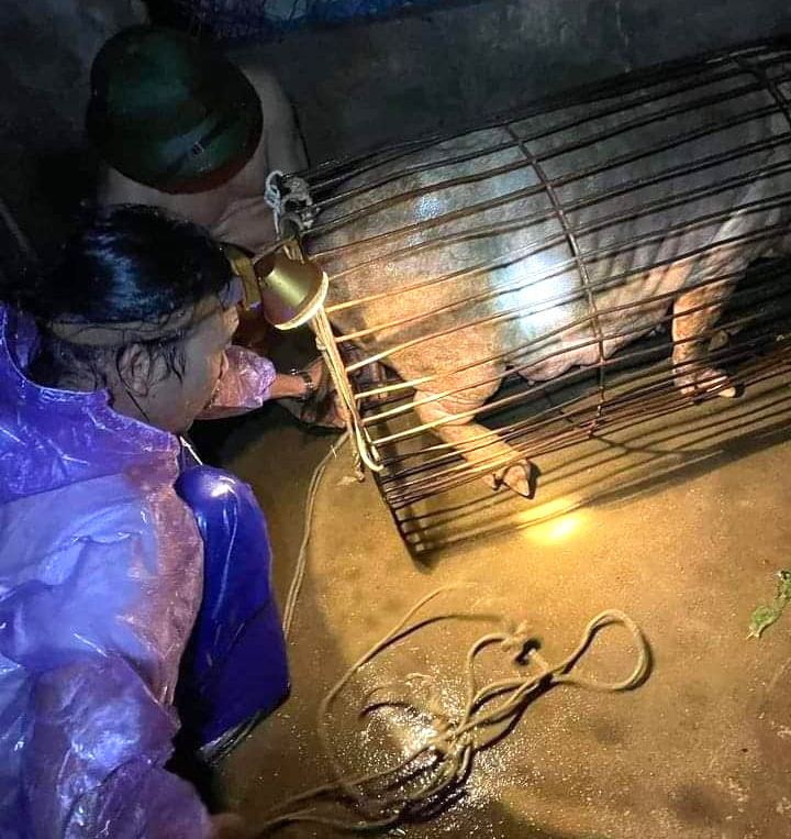 Người dân huyện Thanh Chương trắng đêm di dời tài sản, vật nuôi lên cao - Ảnh: Khánh Trung
