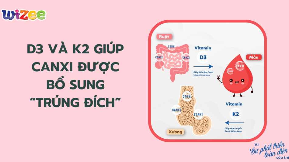 Cha mẹ cần bổ sung cả canxi hữu cơ, D3 và kết hợp K2 cho bé để tăng hấp thu canxi, giúp bé cao lớn và có một khung xương chắc khỏe