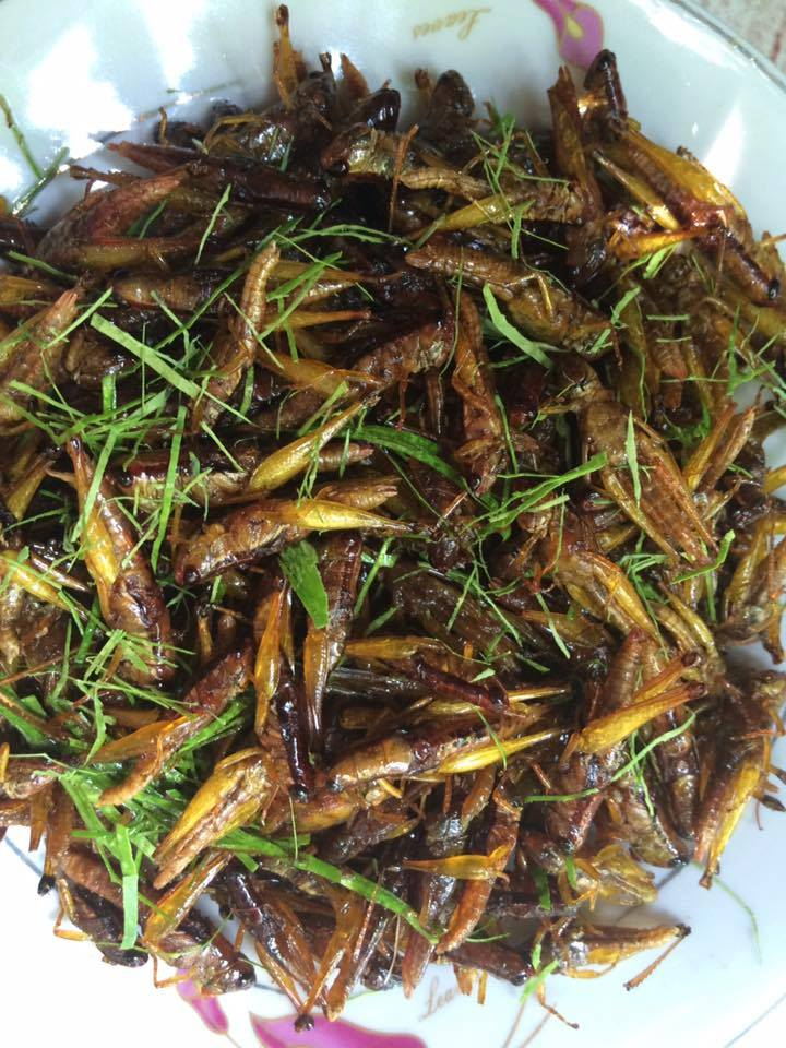 Cào cào rang lá chanh và nước dưa cải muối chua, món ăn dân dã mùa gặt (Ảnh tác giả)