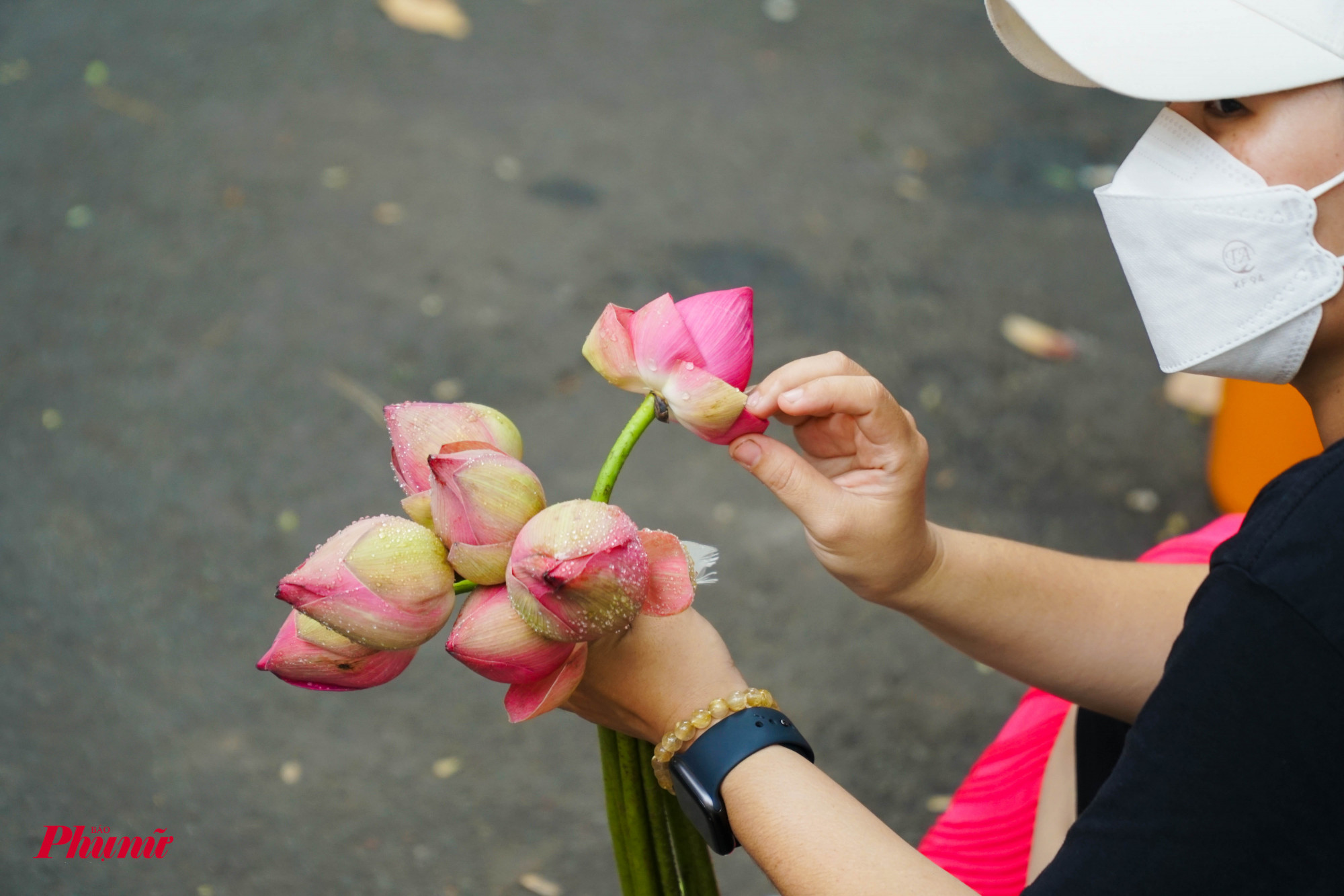 Bên cạnh việc thuê hoa, khách hàng cũng có thể chọn mua hoa the bó, để chụp cùng nhóm bạn