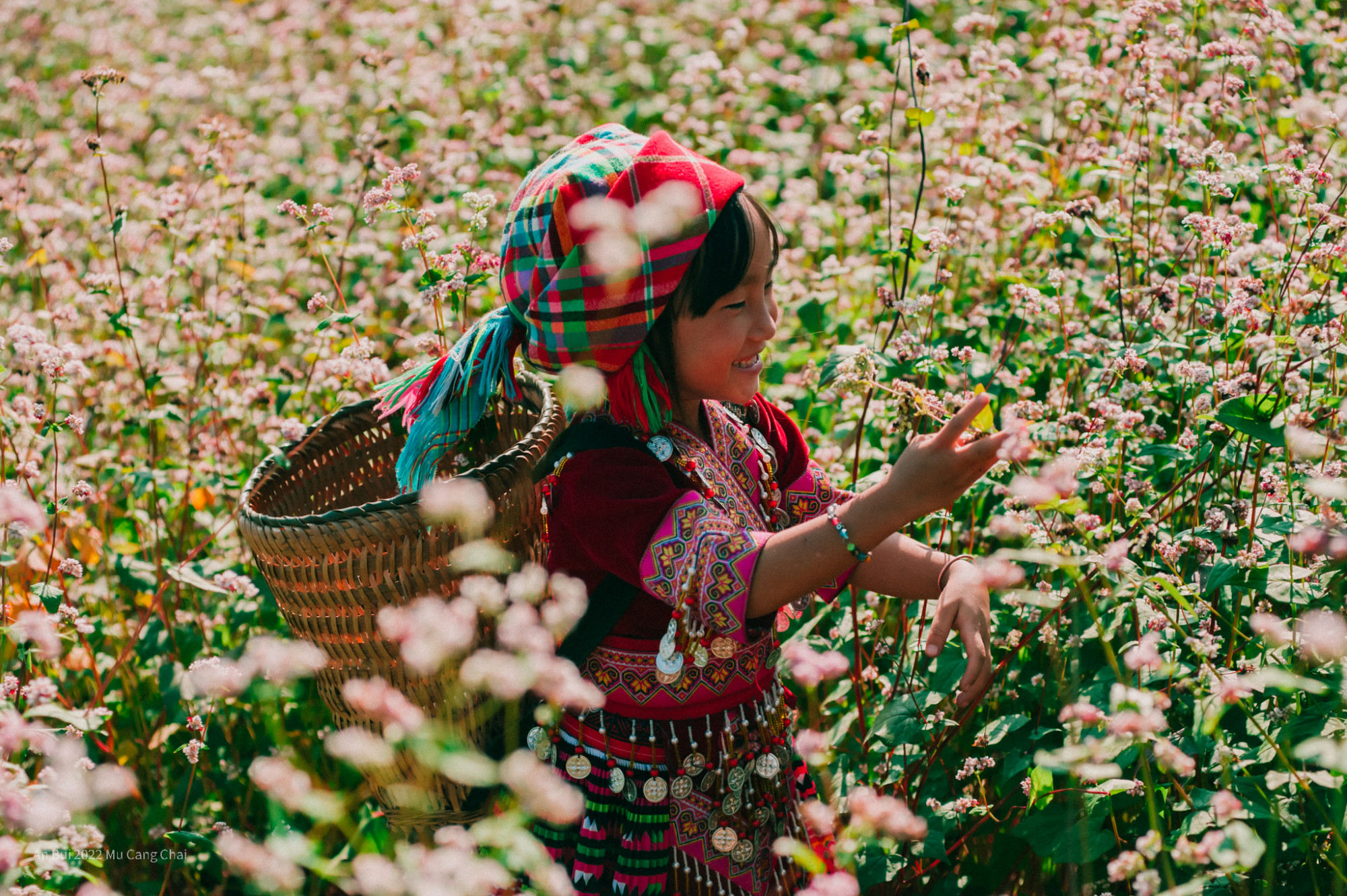 1. Hoa tam giác mạch ở Hà Giang: Hoa tam giác mạch từ lâu đã trở thành một trong những biểu tượng không thể không nhắc tới khi nhớ đến Hà Giang. Thực chất, tam giác mạch là một cây thuốc, thường được sử dụng làm thuốc phòng ngừa tai biến mạch máu, tăng huyết áp và các rối loạn tuần hoàn tĩnh mạch.Hoa tam giác mạch sẽ bắt đầu nở rộ vào khoảng thời gian cuối tháng 10 đến tháng 12 hàng năm. Hoa có màu hồng nhạt, có thể dễ dàng bắt gặp trên những sườn đồi, thung lũng khắp vùng ở Hà Giang nói riêng hay một số địa phương Tây Bắc khác.