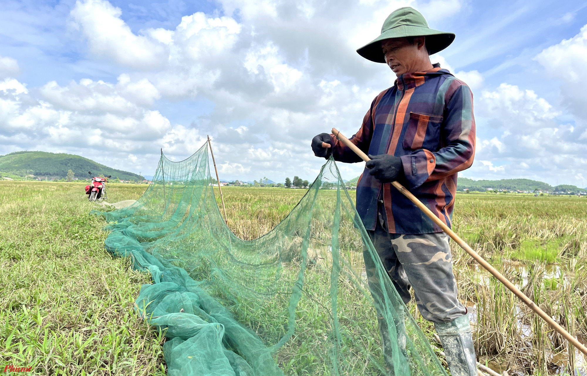 Sáng sớm, anh Nguyễn Văn Huệ (trú xã Quỳnh Thanh, huyện Quỳnh Lưu, tỉnh Nghệ An) cùng 3 người khác trong đội đã có mặt tại một cánh đồng trên địa bàn huyện Yên Thành (tỉnh Nghệ An) để săn châu chấu. Đây là thời điểm thích hợp nhất để những đội săn châu chấu này căng lưới trên những cánh đồng lúa bạt ngàn đã thua hoạch.