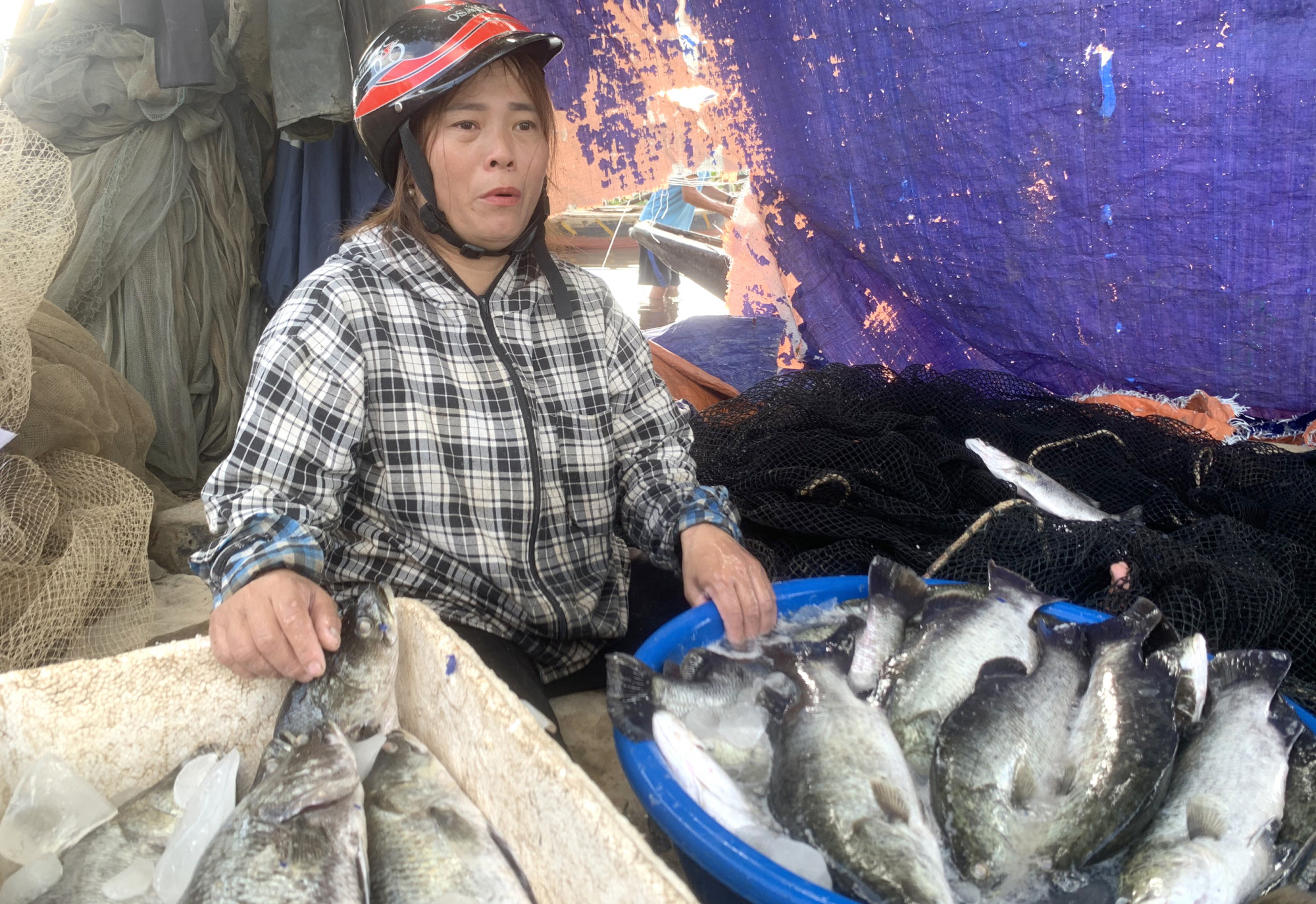 Chị Võ Thị Đào mang cá lên bờ bán - Ảnh: Quang Hà