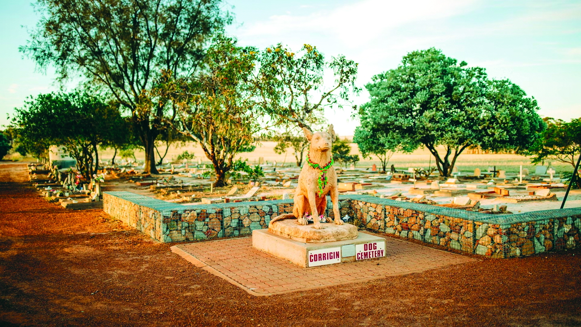 Nghĩa trang chó Corrigin đã trở thành một địa điểm thu hút khách du lịch trên thế giới - Nguồn ảnh: Internet