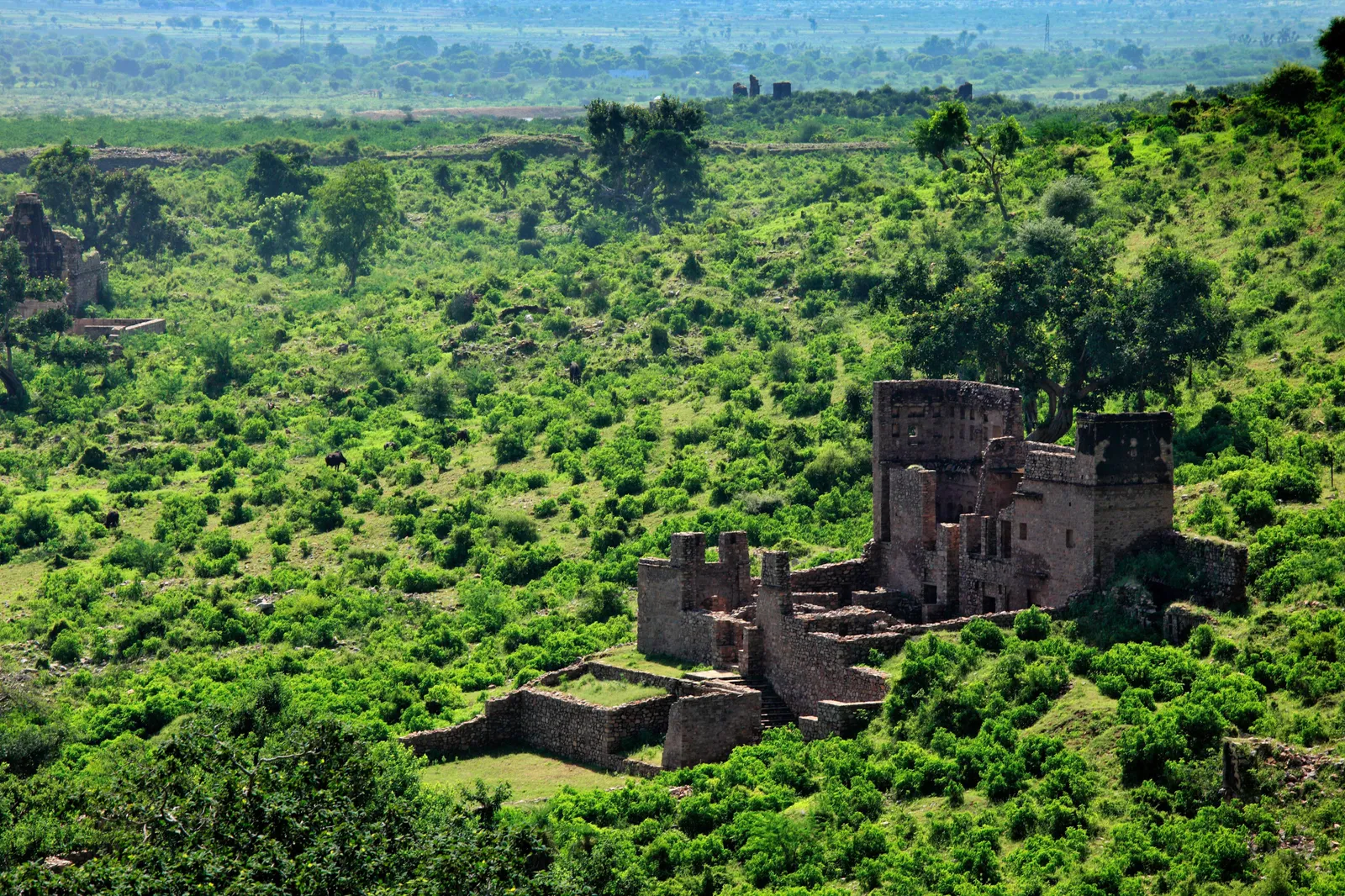 Pháo đài Bhangarh, Ấn Độ Nằm sâu trong bang Rajasthan dưới chân dãy núi Aravali, có một thành phố pháo đài đổ nát từ thế kỷ 17 bị bỏ hoang. Một truyền thuyết địa phương kể rằng một đạo sĩ sống trên đỉnh ngọn đồi gần nhất đã cho phép xây dựng pháo đài với điều kiện nó không được phép phủ bóng lên ngôi nhà của ông ta. Khi nhiệm vụ của ông không được tuân theo, ông đã nguyền rủa thành phố. Được coi là nơi bị ma ám nhất ở Ấn Độ , việc vào địa điểm du lịch nổi tiếng bị nghiêm cấm sau khi mặt trời lặn. Những người dân làng gần đó thì thầm về hoạt động huyền bí, nhưng những người hoài nghi cho rằng mục đích thực sự của lệnh cấm sau bóng tối là để bảo vệ người dân khỏi cư dân của khu bảo tồn hổ gần đó. Tuy nhiên, bầu không khí u ám và những rung động tiêu cực của Pháo đài Bhangarh đều được những người có niềm tin cũng như những người không có niềm tin đồng tình.