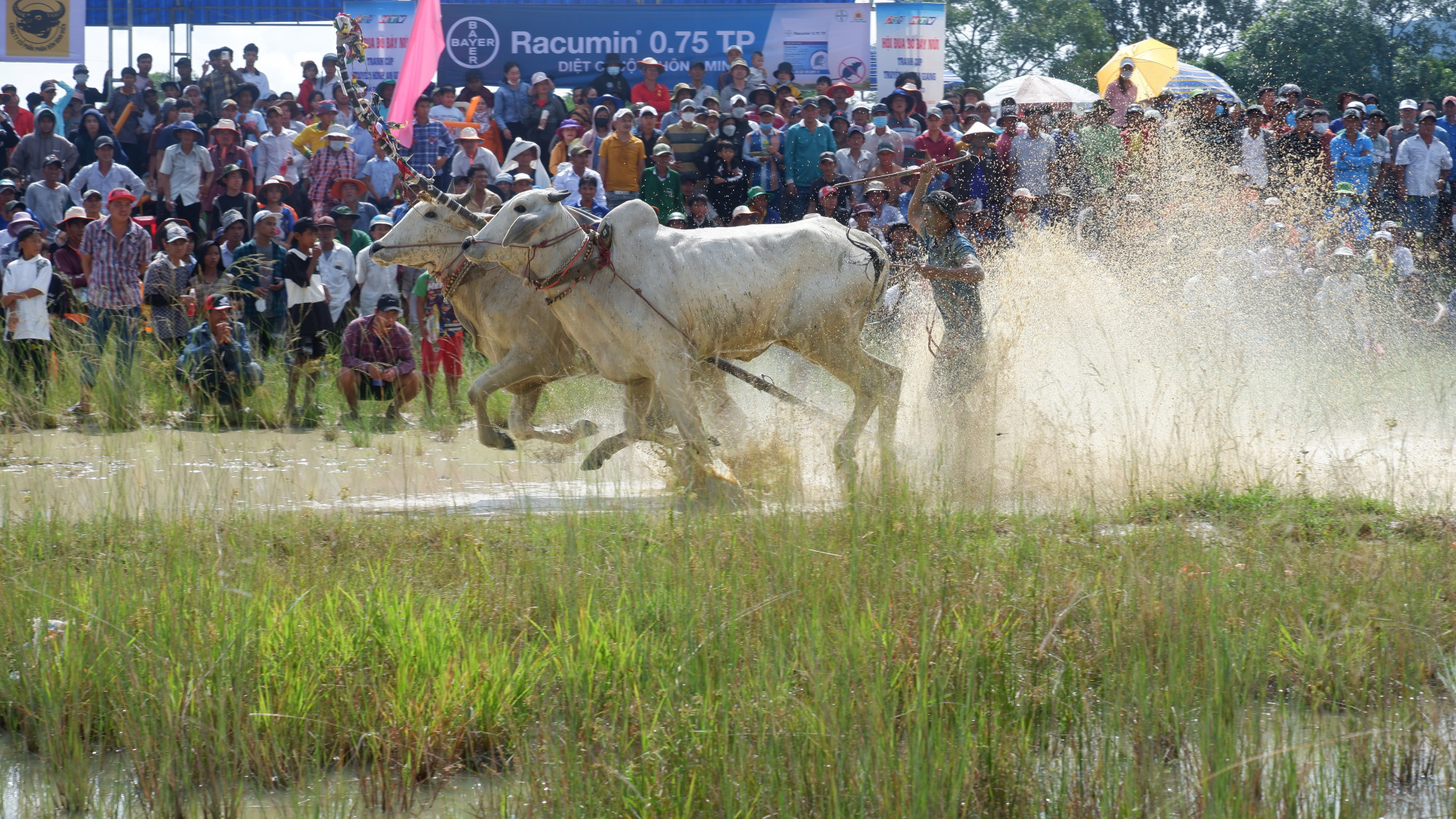 Tăng tốc về đích 