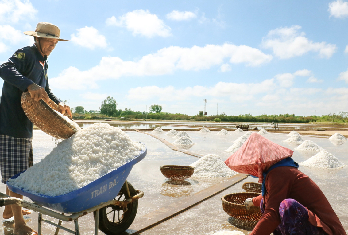 Người dân tỉnh Bạc Liêu thu hoạch muối - ẢNH: HUỲNH LỢI 