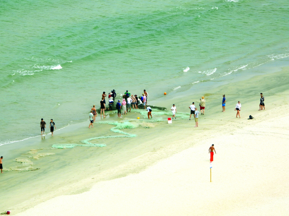 Cảnh kéo lưới ở biển Đà Nẵng