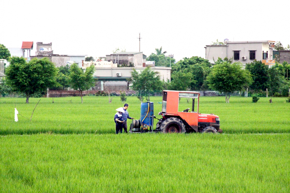 Nhờ tích tụ, tập trung đất, các nông hộ ở tỉnh Thái Bình  có điều kiện để mạnh dạn cơ giới hóa việc sản xuất nông nghiệp