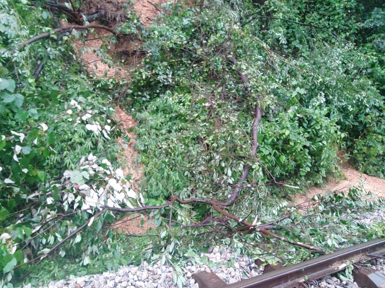 Nhiều đoạn đường sắt cũng bị bồi lấp do đất đá, cây xanh sạt trượt từ núi xuống - Ảnh: Khánh Trung