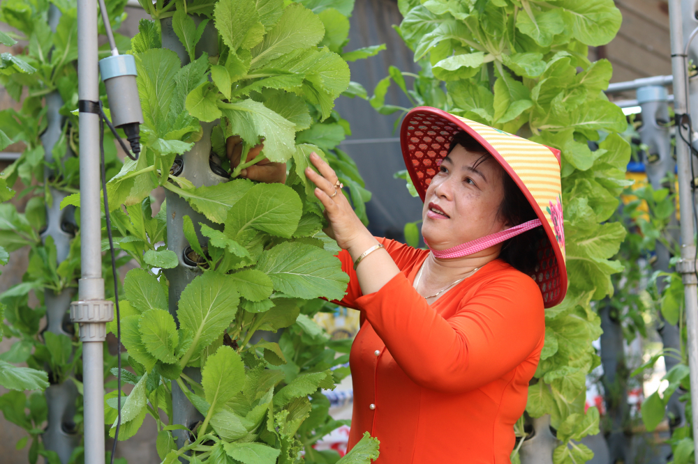 Hệ thống khí canh vận hành tự động, không mất nhiều công chăm sóc, giúp chị em linh động giữa việc hội với quản lý vườn. 