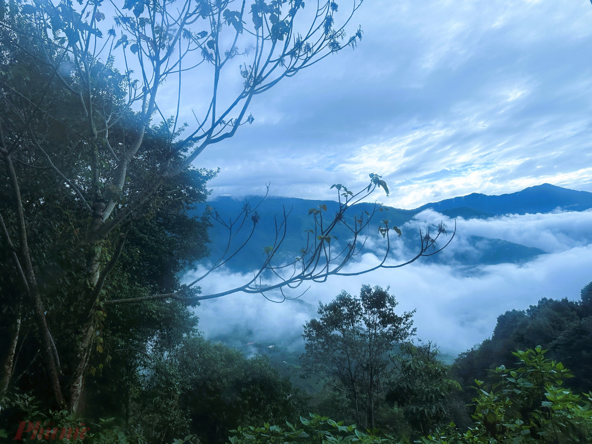 Với độ cao 2.800m, các du khách dễ dàng săn mây ở bất cứ điểm tham quan nào ở Tà Xùa.