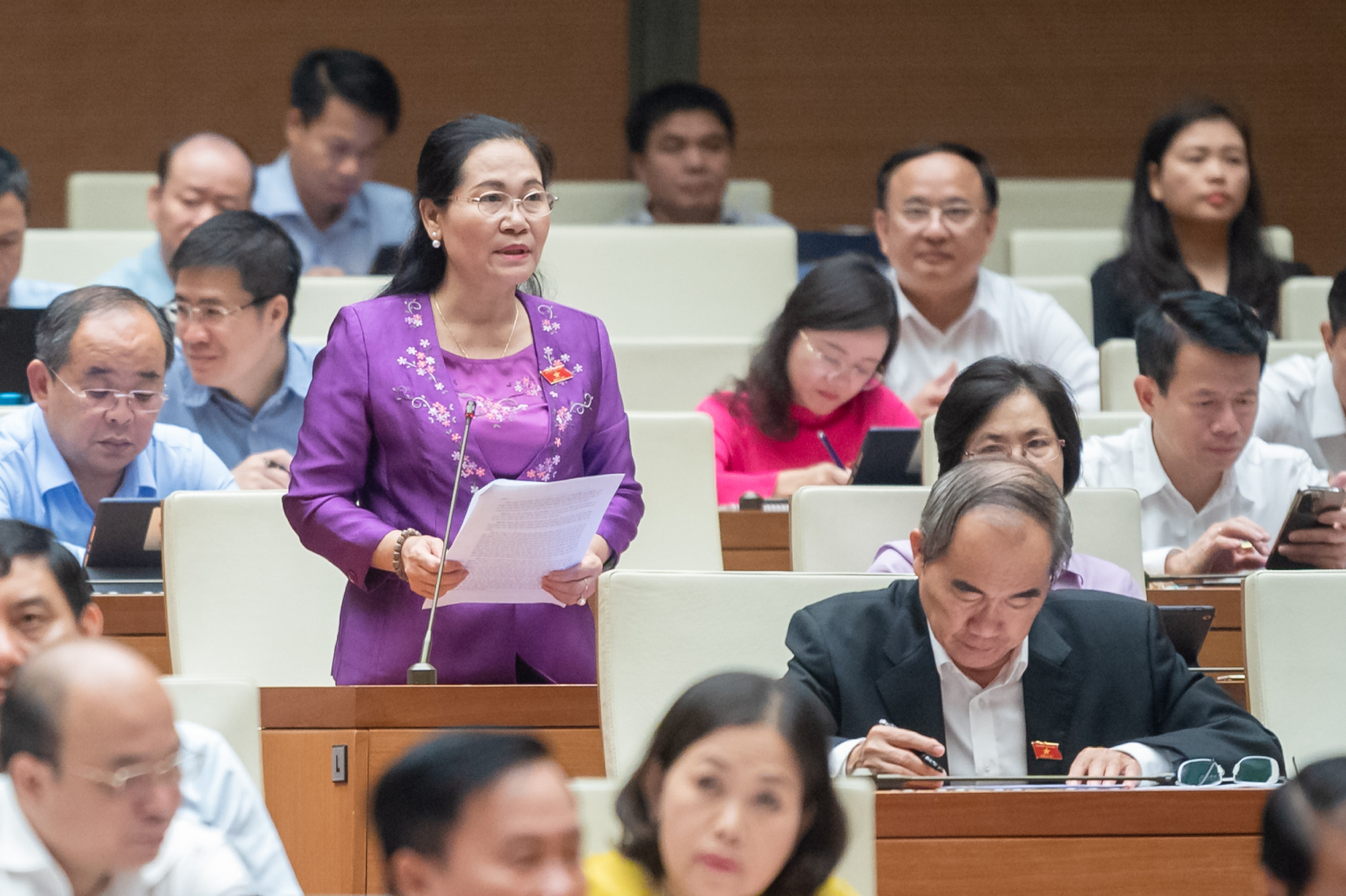 ĐBQH Nguyễn Thị Lệ cũng đề nghị quy hoạch, đầu tư hệ thống đường sắt vươn tới các tỉnh thành