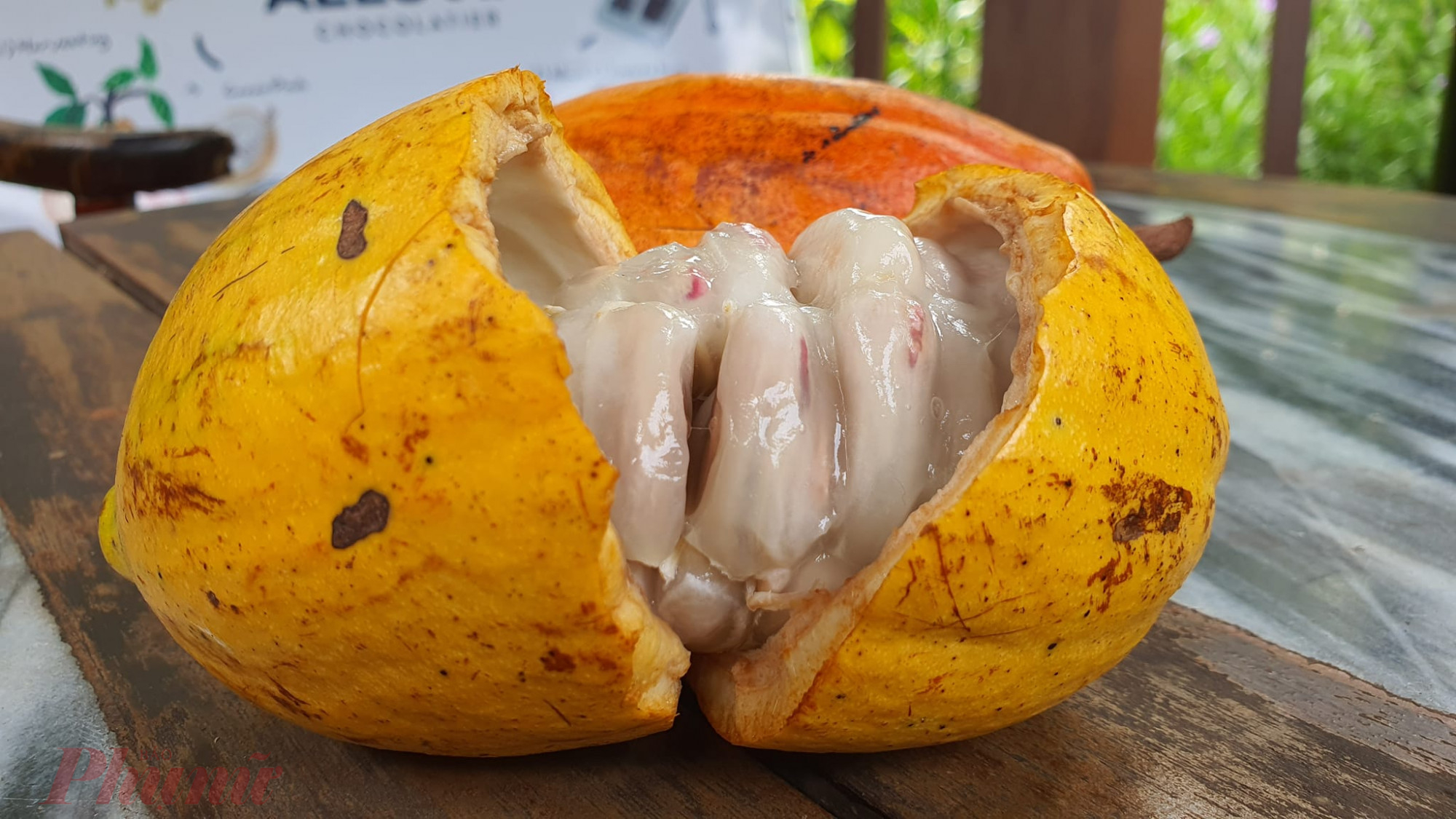 Cacao tươi có vị chua và thơm nhẹ, gần giống với mùi vị mãng cầu xiêm