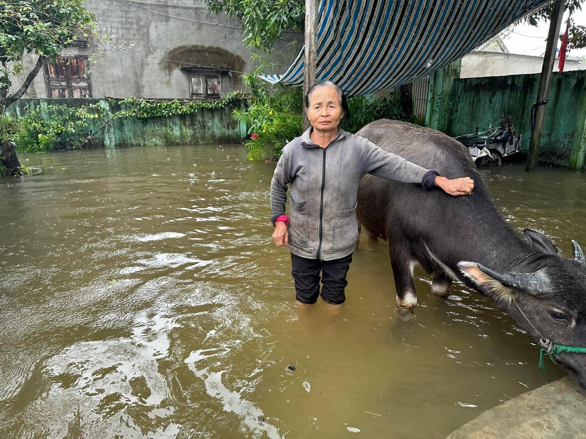 Nhiều nhà dân ở huyện Lộc Hà bị ngập - Ảnh: Nguyễn Dũng