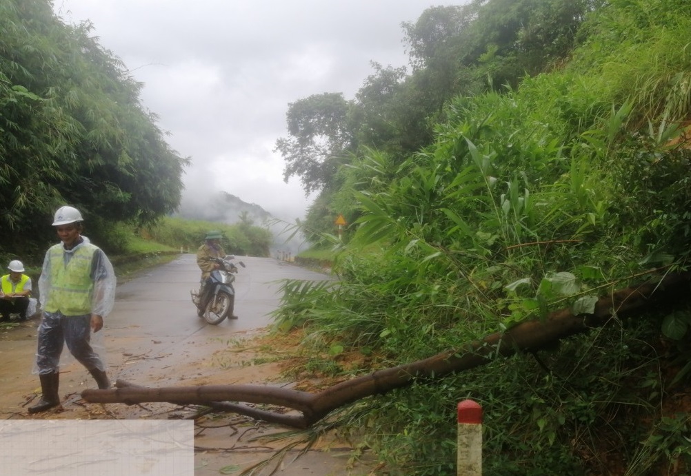 Cây cối ngã đổ xuống đường gây nguy cơ mất an toàn giao thông