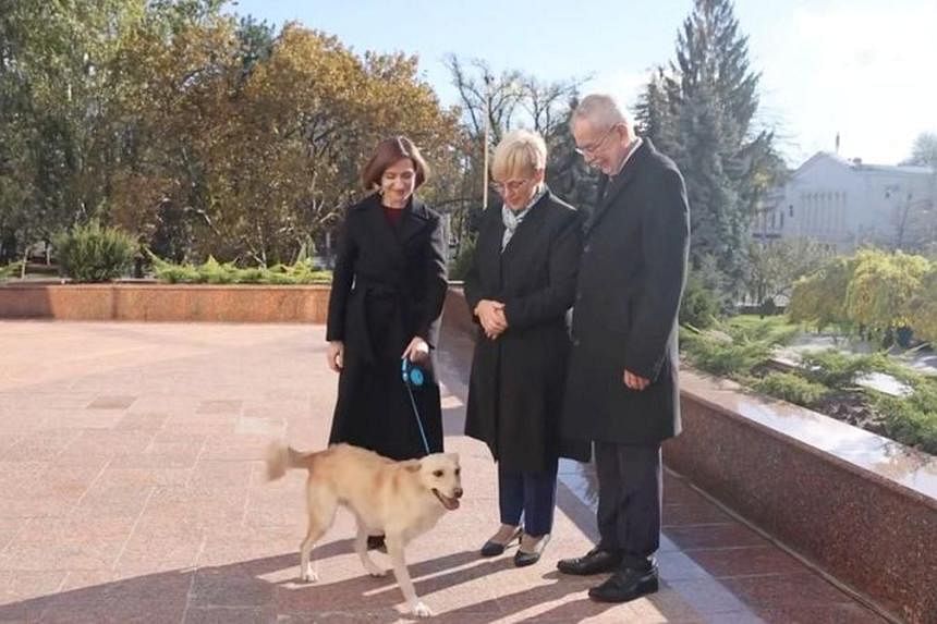 Tổng thống Moldova Maia Sandu (trái) và chú chó của bà chào đón Tổng thống Áo Alexander Van der Bellen và Tổng thống Slovenia Natasa Pirc Musar tại Chisinau, Moldova 