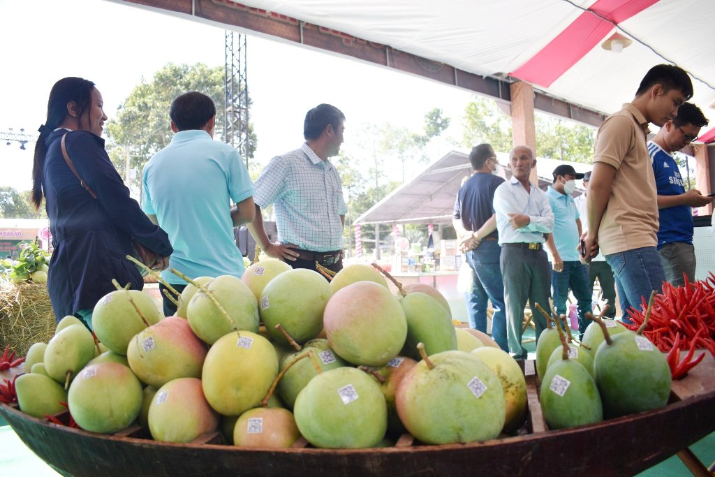 Trưng bày sản phẩm xoài Đồng Tháp