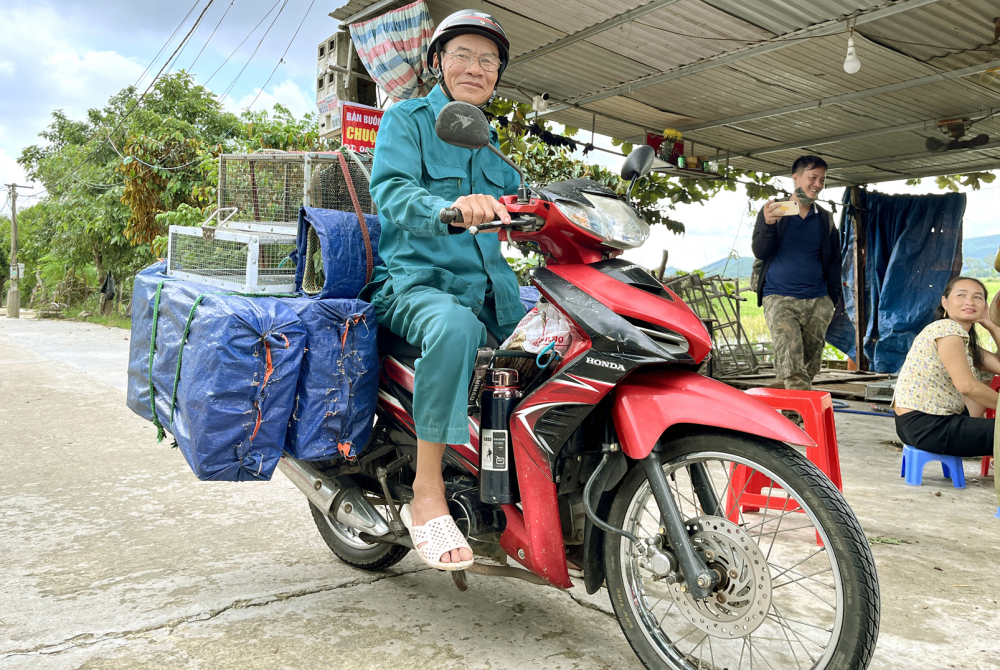 Mỗi ngày anh Cung Đình Mậu thu mua hơn 1 tấn chuột để bán ra các tỉnh phía Bắc