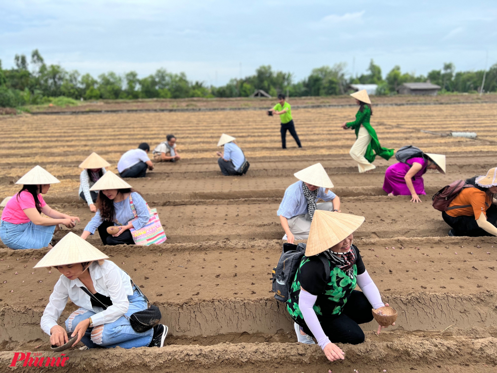 Trong tour khách sẽ có các hoạt động trải nghiệm như trồng hành củ, một trong những sinh kế của bà con xứ Cồn Ông.