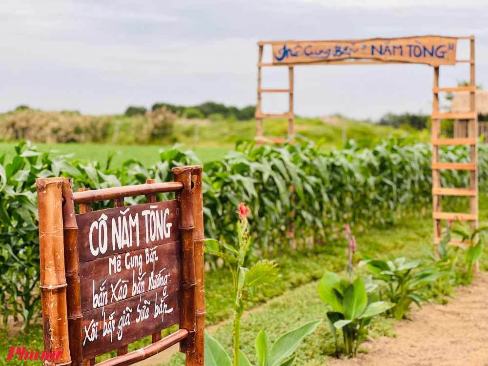 Mô hình du lịch canh nông hay du lịch nông nghiệp là mô hình cho bà con tự làm, 