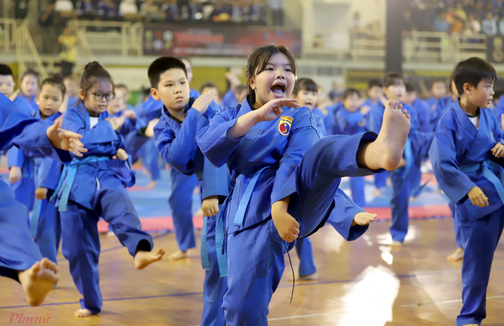 Vovinam là môn võ truyền thống của người Việt, hiện nay đã lan rộng ra hàng chục nước trên thế giới.