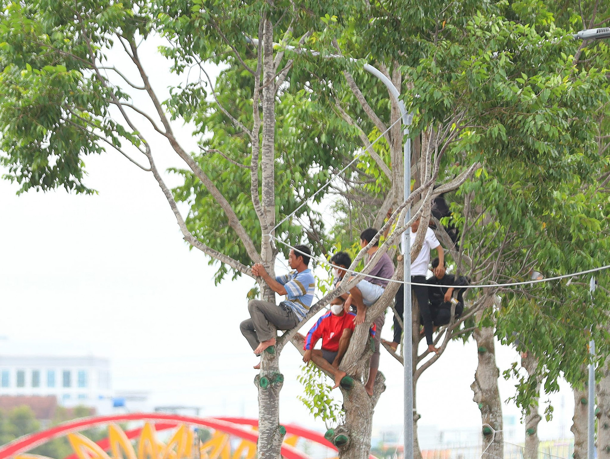 Nhiều người lên lên nhà lầu, leo lên cây cao hoặc những nơi nào xem được... để hò reo cổ vũ các đội đua ghe ngo...