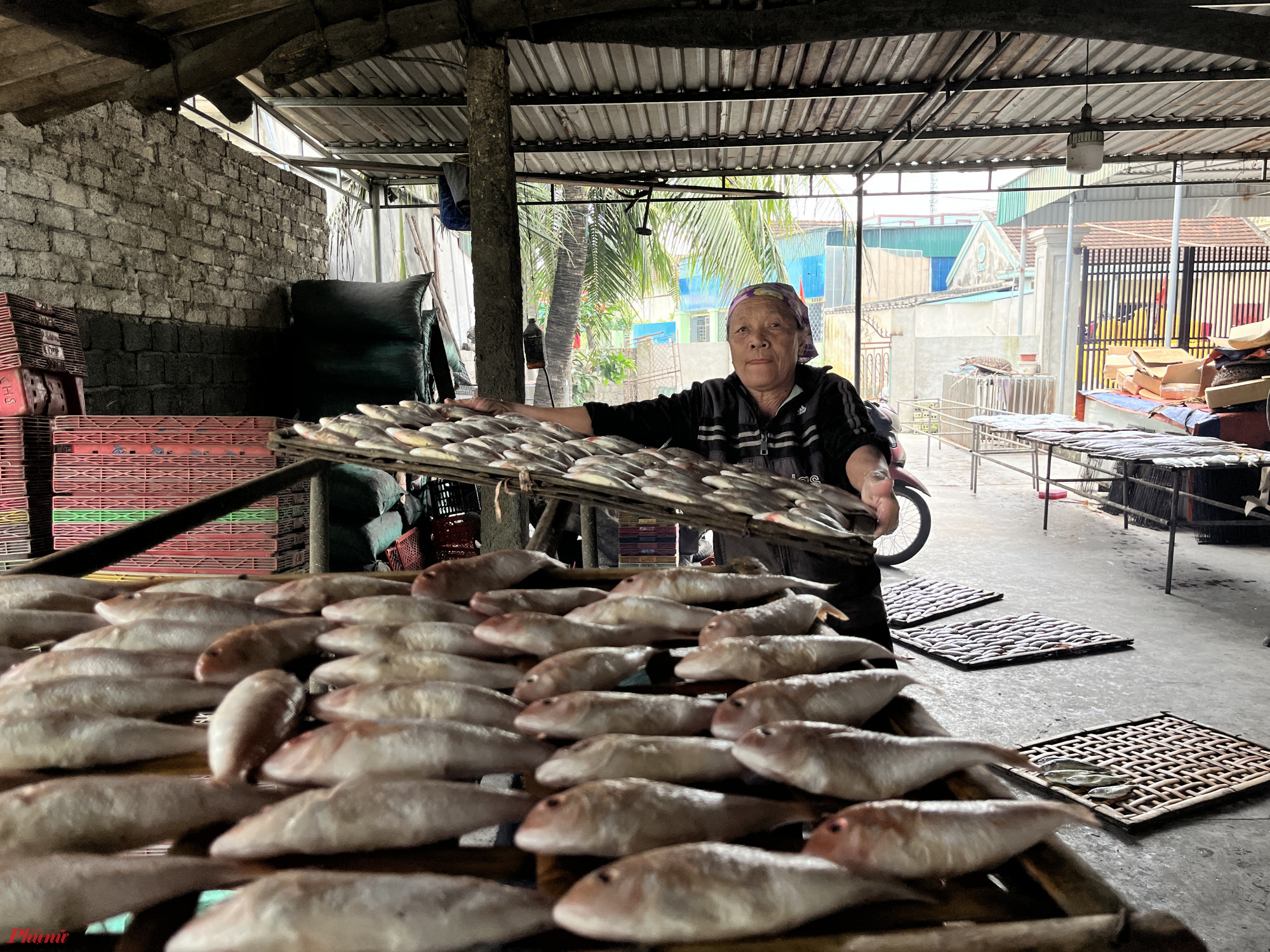 Diễn Vạn (huyện Diễn Châu, tỉnh Nghệ An) xưa thuộc đất Vạn Phần, mảnh đất nằm ở nơi giao thoa nhiều con sông như sông Bùng, sông Vách Bắc, sông Lạch Vạn... Người dân nơi đây có nhiều nghề thuyền thống lâu năm như làm muối, làm nước mắm, ruốc… Trong đó, nổi lên là nghề nướng cá biển, đã tồn tại nhiều đời qua, nuôi sống hàng trăm gia đình làm nghề nướng cá thuê và làm chủ lò nướng.