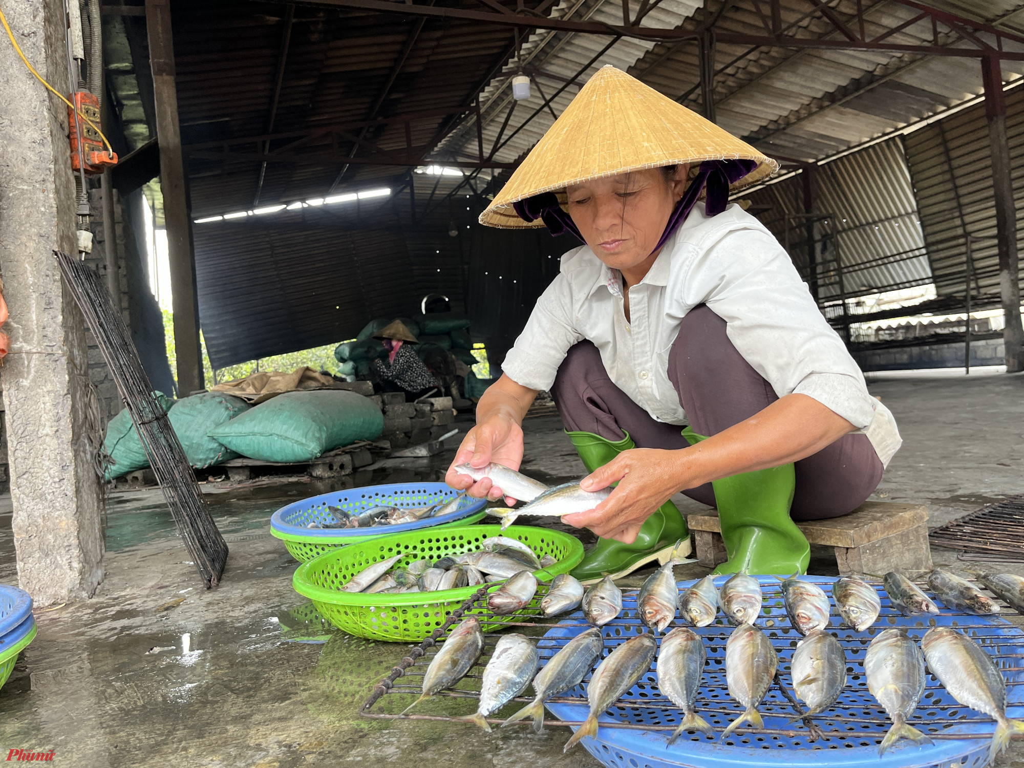 Các loại cá nướng được ưa chuộng nhất là cá trích, cá nục, cá bạc má, cá thu, cá đục, cá đốm, cá thửng... Ngoài các loại cá bản địa, nhiều chủ lò nướng ở Diễn Vạn còn nhập khẩu thêm nhiều loại cá giá trị cao từ Hàn Quốc, Trung Quốc về để nướng.