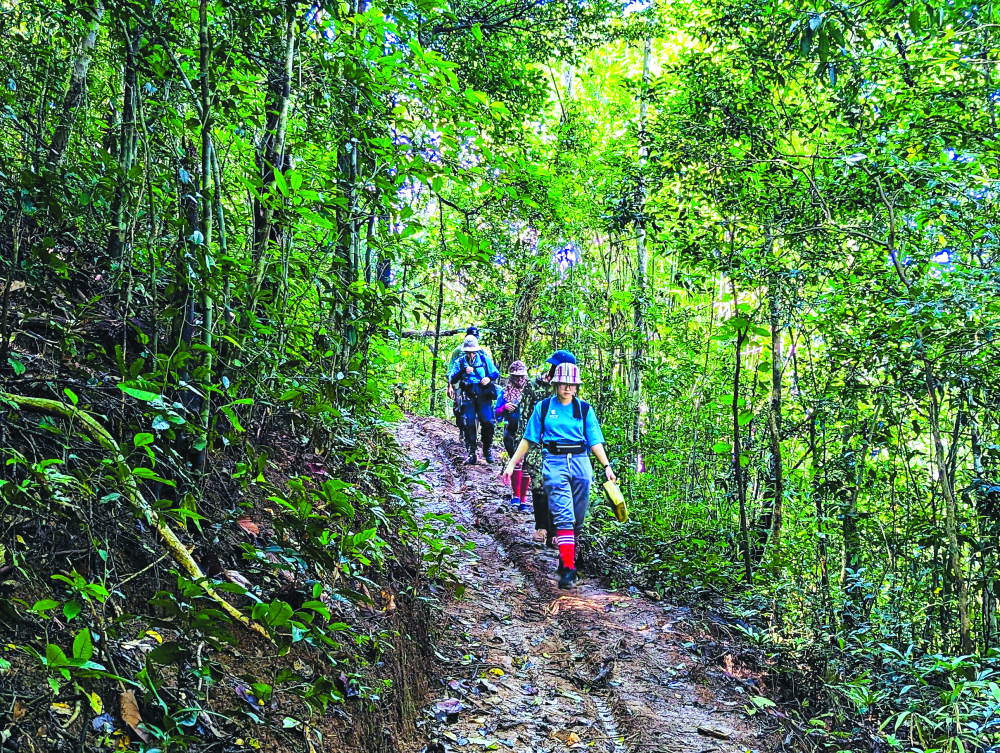 Trekking vườn quốc gia Bù Gia Mập