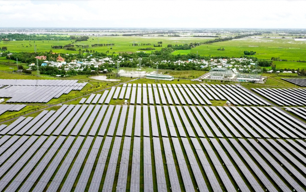 Các tấm pin mặt trời tại nhà máy điện Sao Mai ở An Giang - Nguồn ảnh: AFP