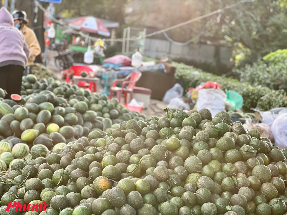Còn tại chợ đầu mối Thủ Đức, thông tin đến phóng viên báo Phụ nữ TPHCM cam sành Việt Nam về chợ mỗi đêm hơn 232 tấn/đêm, với giá bán từ 6.000-8.000 đồng/kg.