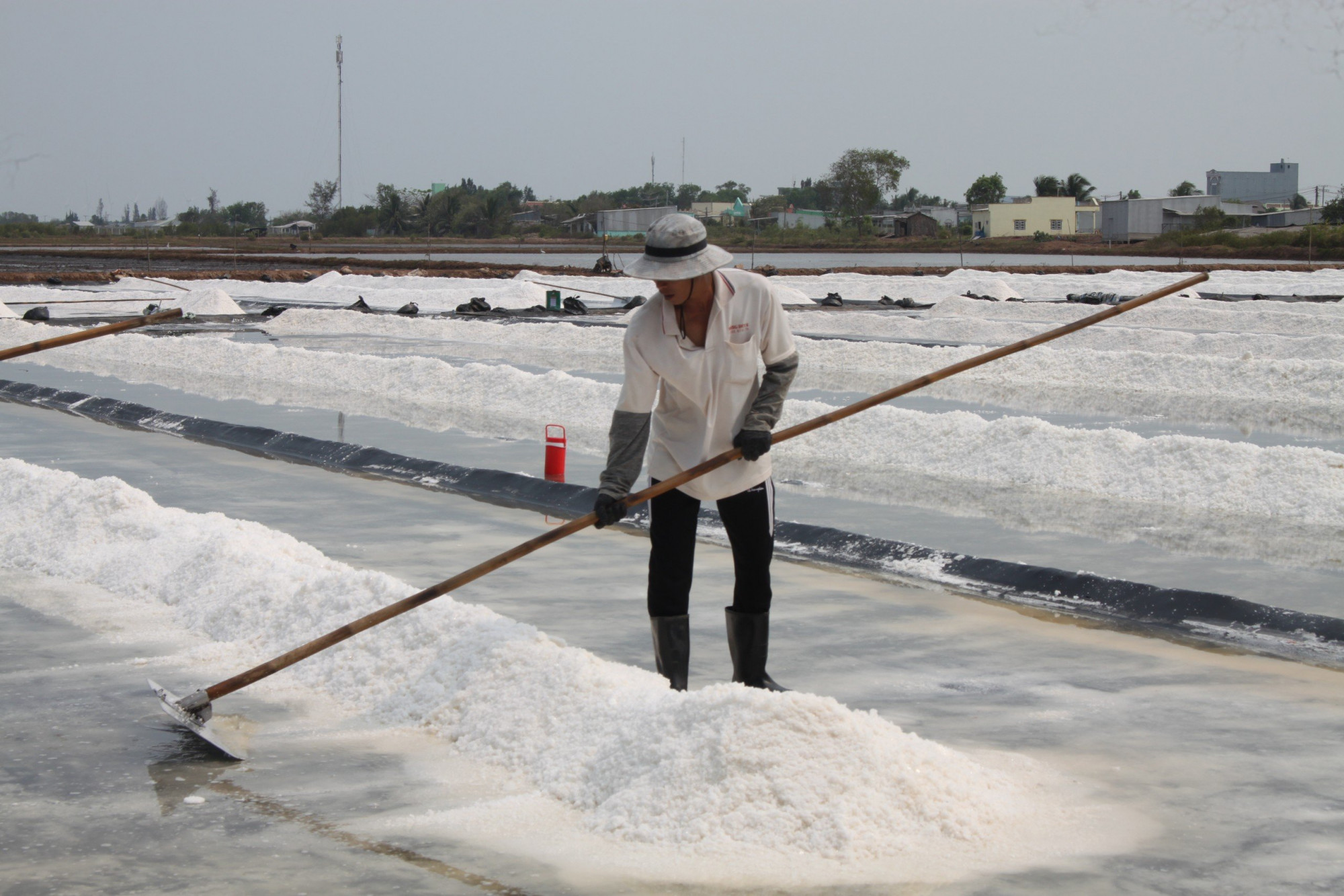 Nghề làm muối là công việc vất vả nhưng mang lại thu nhập cho diêm dân còn thấp.