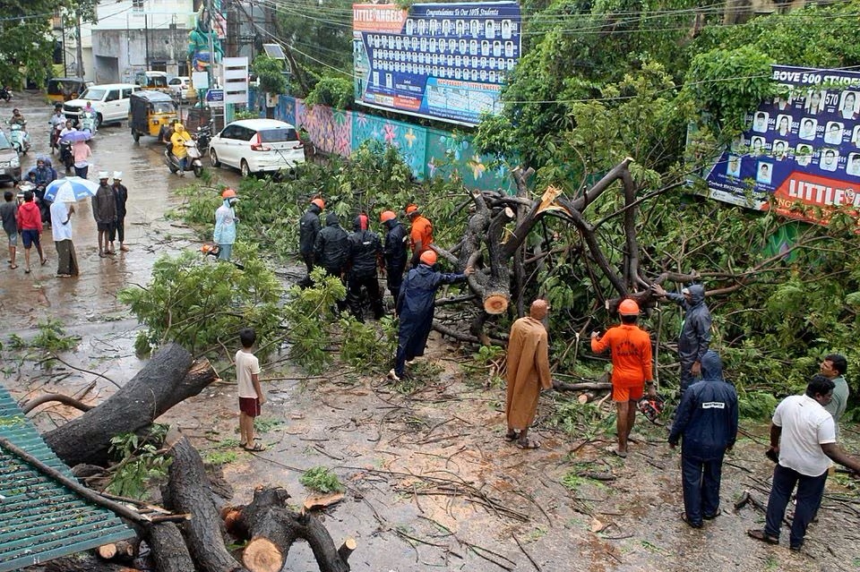 Các thành viên của Lực lượng Ứng phó Thảm họa Bang Andhra Pradesh cắt dọn cây đổ sau khi bão Michaung đổ bộ vào quận Nellore, Andhra Pradesh, Ấn Độ