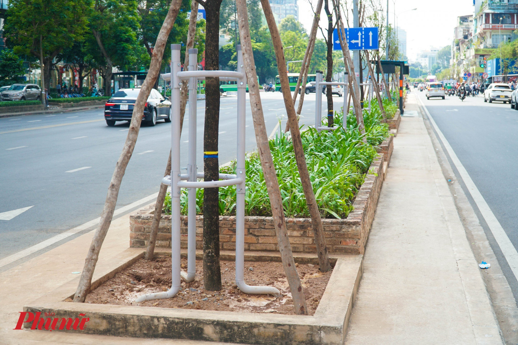 CácCác cây me được các công nhân rào chắn bằng khung sắt, các cọc gỗ cố định để ngăn gãy đổ.