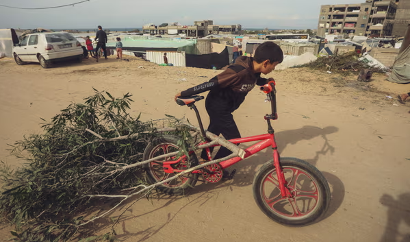 Một cậu bé người Palestine sử dụng xe đạp để chở cành cây làm nhiên liệu ở Rafah, Dải Gaza. Ảnh: Ismael Mohamad/UPI/Shutterstock