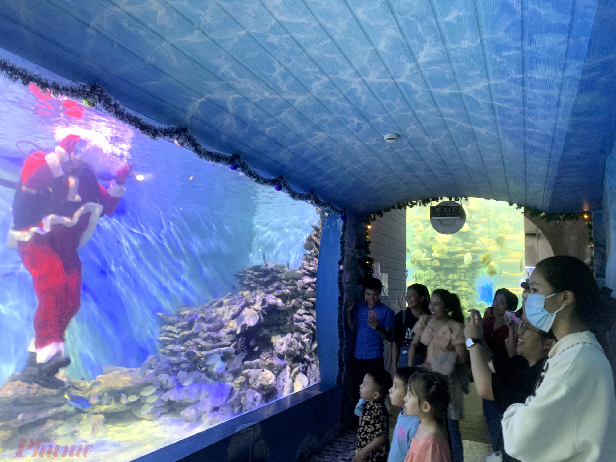 Du khách đến Viện Hải dương học tham quan chương trình biểu diễn dưới nước tại Bảo tàng Hải dương học
