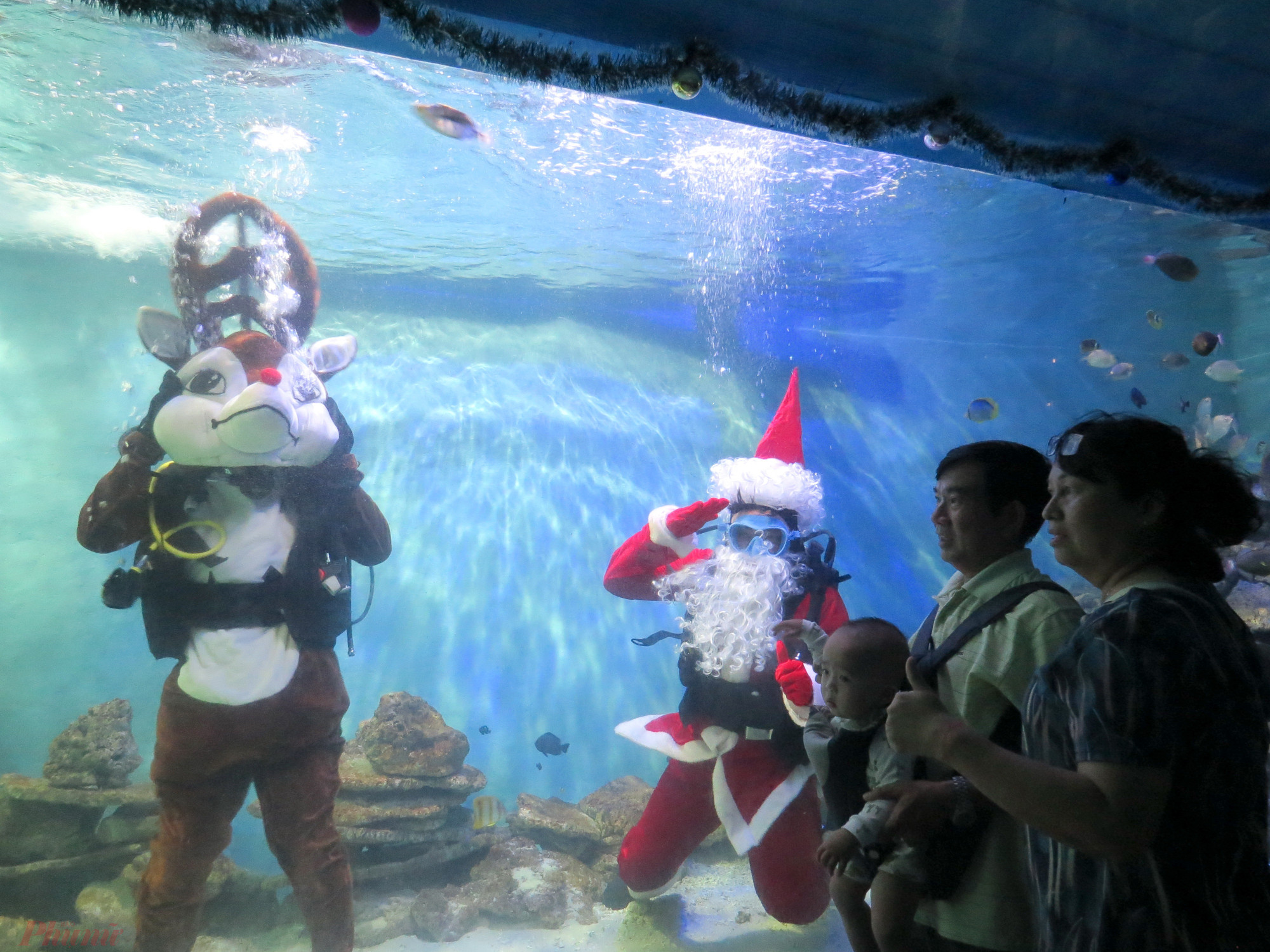 Không chỉ các em nhỏ mà người lớn cũng rất bất ngờ với màn biểu diễn dưới nước của ông già Noel