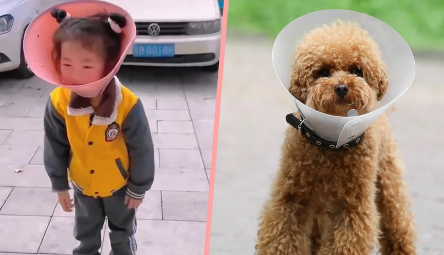 Một cô gái trẻ tỏ ra lưỡng lự khi bị buộc phải đeo vòng cổ hình nón cho chó nhằm mục đích ngăn cô sử dụng thiết bị di động quá mức. Ảnh: SCMP tổng hợp/Shutterstock/Weibo