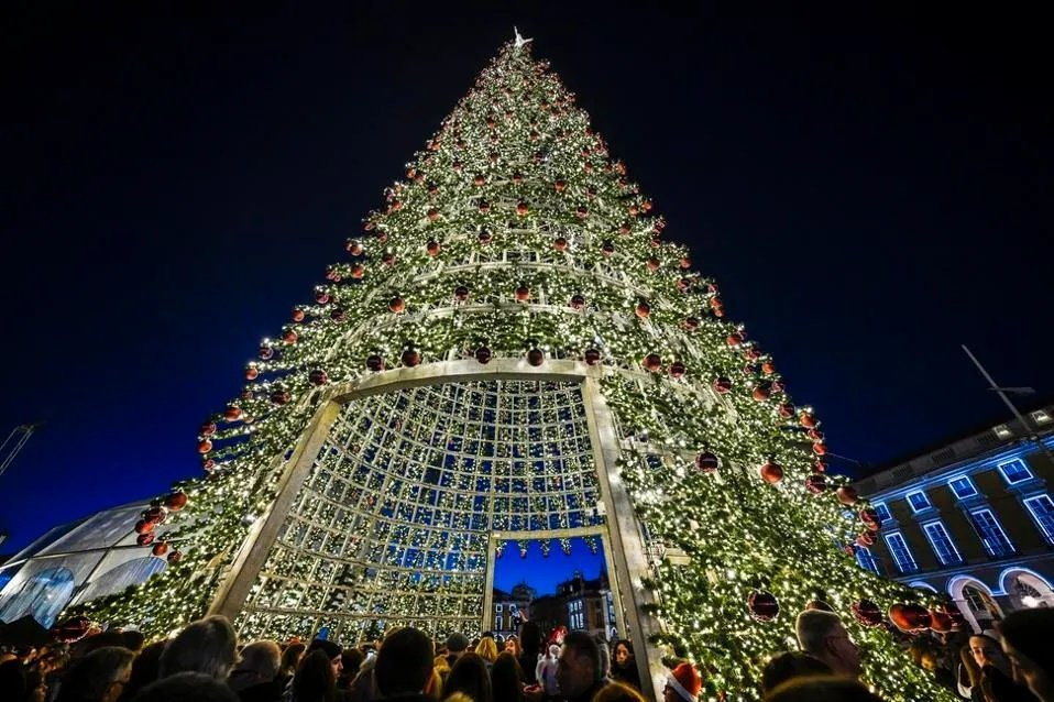 Cây thông tại Praça do Comercio ở Lisbon trong buổi trình diễn laser. Đây là cây lớn nhất ở Bồ Đào Nha trong Giáng sinh năm nay.