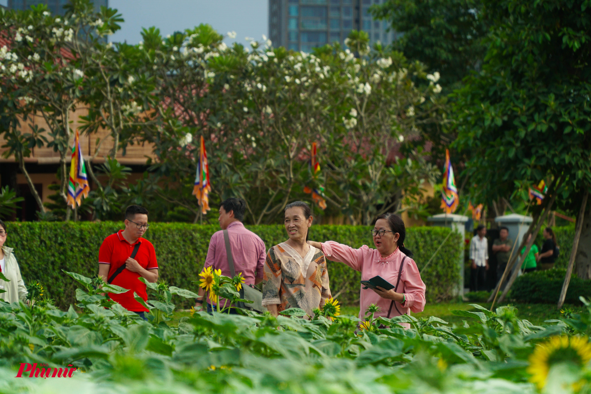 Tay là ngày đầu mở cửa phục vụ, nhưng rất đông người dân đã tìm đến đển vui chơi, chụp ảnh