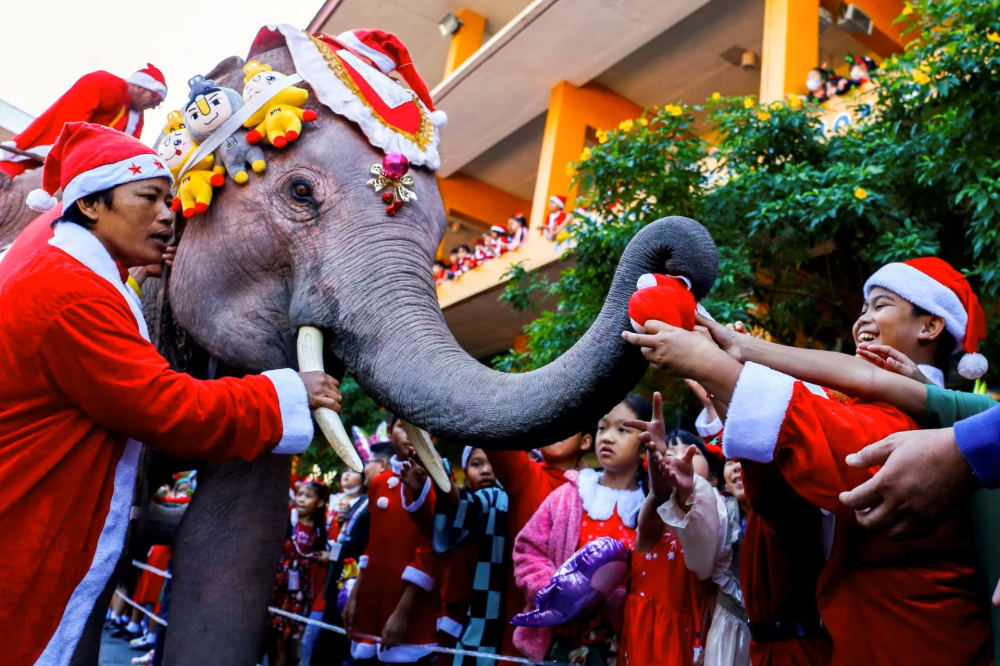 Học sinh chờ quà từ một chú voi mặc trang phục ông già Noel trước lễ Giáng sinh tại một trường học ở Ayutthaya, Thái Lan
