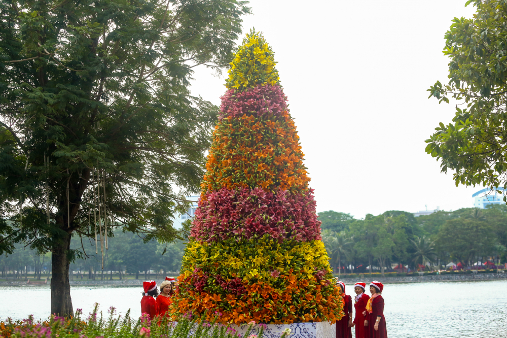 Để đón chào Giáng sinh 2023, một cơ sở kinh doanh hoa ở Hà Nội đã kết hơn 2.000 cành hoa ly đủ màu sắc tạo nên cây thông Noel cao 5m được đặt tại Công viên Thống Nhất (quận Hai Bà Trưng, Hà Nội)