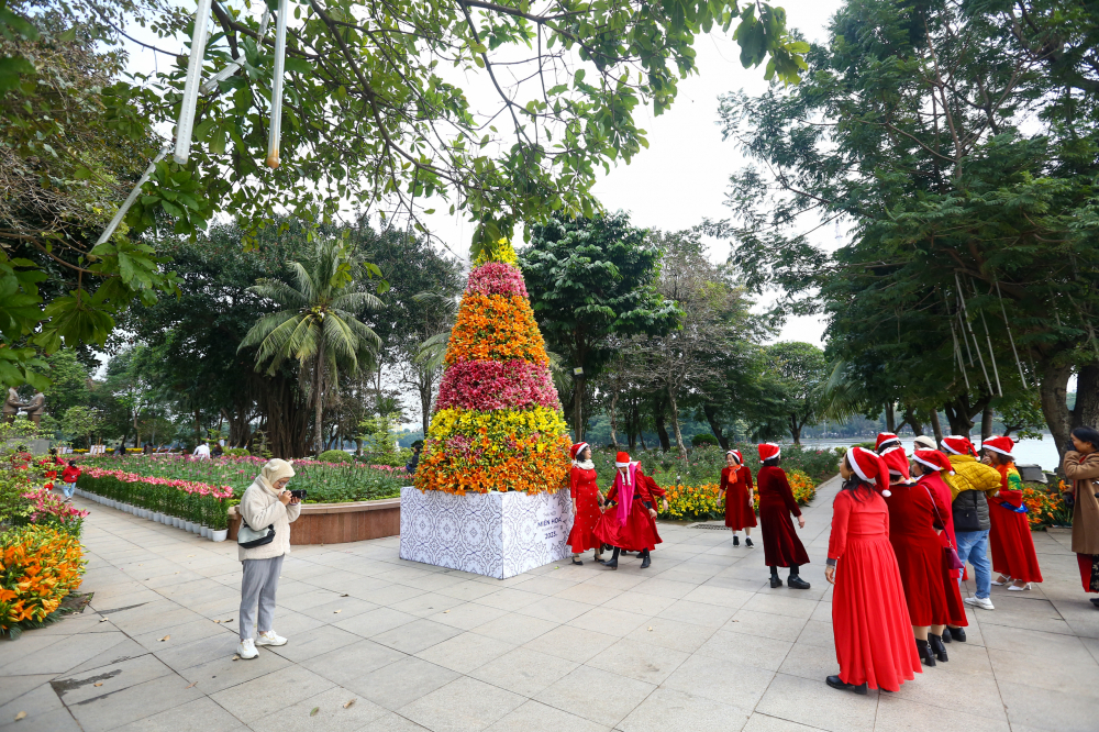 Những ngày qua, cây thông Noel đặc biệt này đã thu hút sự chú ý của nhiều du khách tới tham quan công viên Thống Nhất.