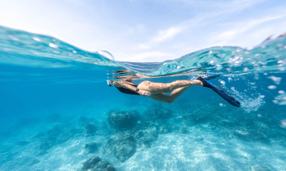 Lặn biển và snorkeling tại Hòn Mun Hòn Mun là một trong những điểm lặn biển và snorkeling tốt nhất ở Nha Trang. Dưới biển xanh biếc, bạn có thể ngắm san hô tươi đẹp và đủ loại cá đa dạng. Dịch vụ lặn biển tại đây cùng công tác bảo vệ rạn san hô cũng rất tốt. Bởi đây là khu bảo tồn san hô của Việt Nam, hiện còn tới hơn 1000 loài san hô và sinh vật biển các loại sinh sống. Do đó du khách tham gia tour lặn biển Nha Trang có thể an tâm khi khám phá bức tranh sinh vật biển phong phú, đa dạng và đầy sắc màu tại Hòn Mun.  Bãi lặn ở đây khá sâu, thường bạn sẽ đi tàu vào lặn ở diện tích lõi đảo Hòn Mun chứ không ở vùng ven. Độ sâu tối đa thường tầm 6 đến 12m, do đó hướng dẫn viên sẽ 1 kèm 1 với du khách. Khi đi tour du lịch Nha Trang trải nghiệm lặn biển bạn cũng cần tìm hiểu đầy đủ các biện pháp an toàn để thu được những điều tuyệt vời nhất nhé.  Địa điểm: Hòn Mun cách Nha Trang khoảng 10km và bạn có thể đặt tour lặn biển hoặc thuê thiết bị snorkeling tại các công ty du lịch ở thành phố.  Giá: Khoảng 400,000 - 800,000 VND cho một buổi lặn biển hoặc snorkeling cơ bản.