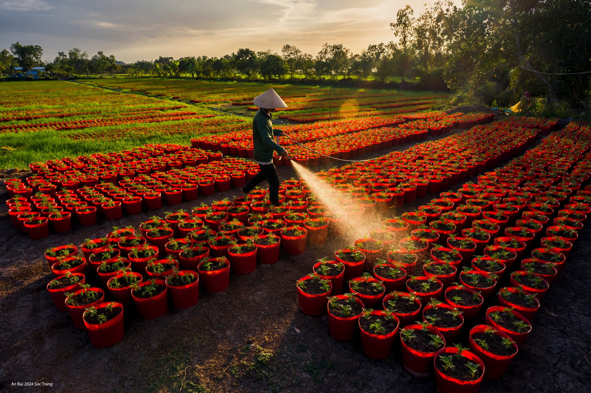 Ở đâu: Hệ thống loại hình lưu trú ở Sóc Trăng khá phát triển. Tùy túi tiền, sở thích, bạn có thể chọn cơ sở mong muốn. Giá lư trú từ 250.000 đồng đến vài triệu một đêm.