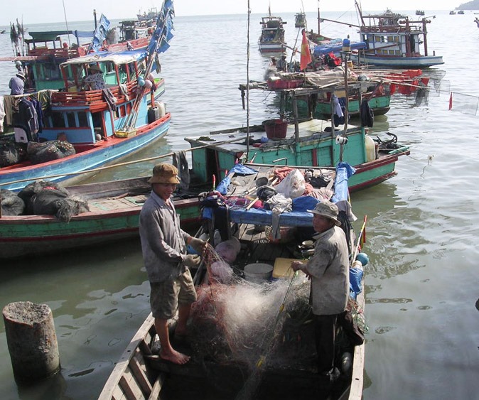 Cà Mau tăng cường quản lý, siết chặt an toàn việc khai thác thủy sản trên biển